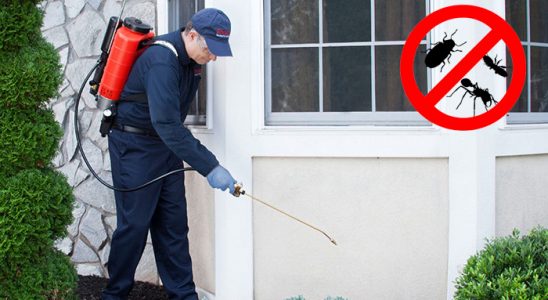 Keçiborlu Böcek İlaçlama böcek ilaçlama ve haşere kontrolü — ilaclama-tr.com
